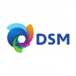 DSM